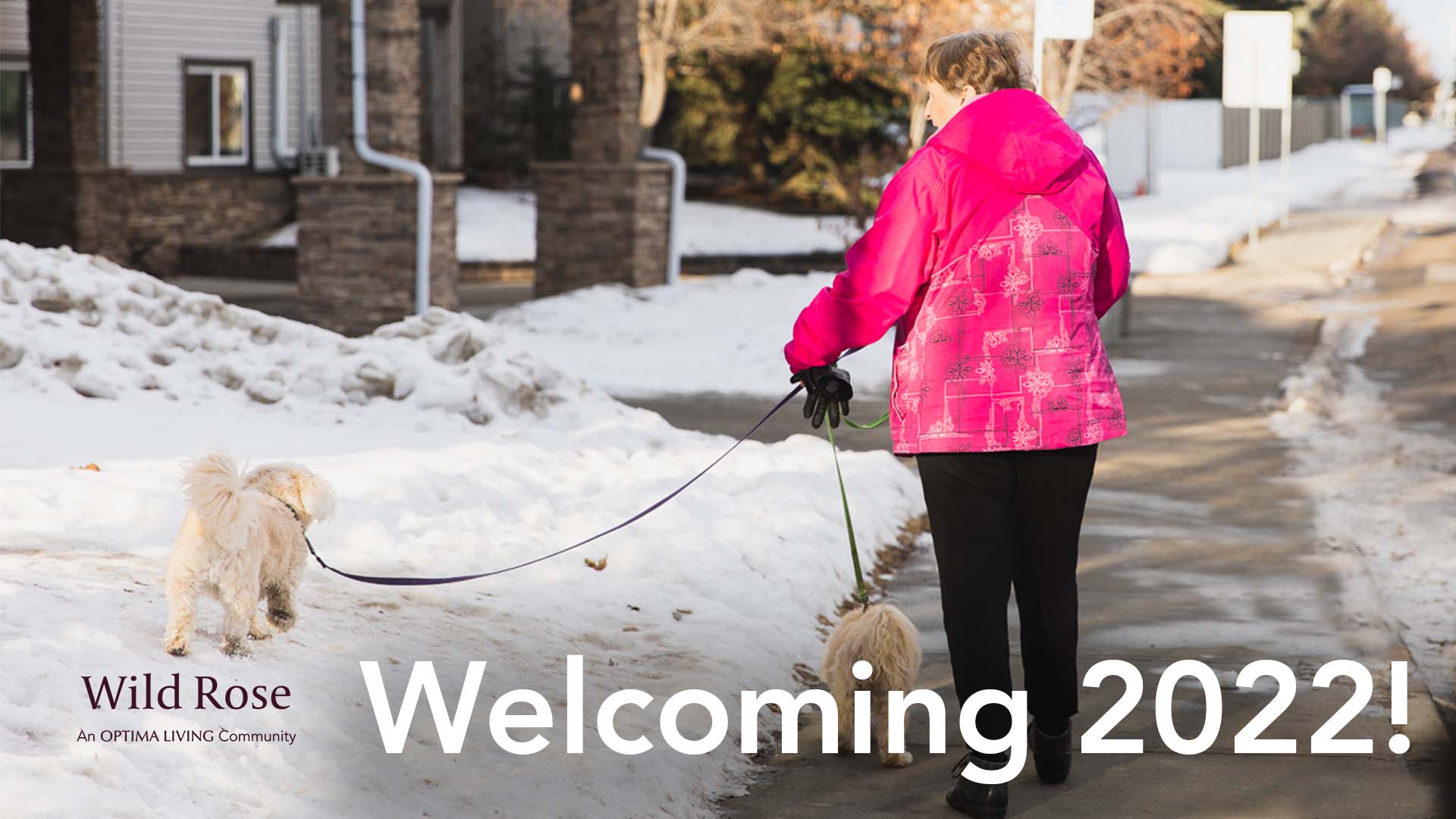 An elderly lady walking in snow with her two dogs outside a retirement home.