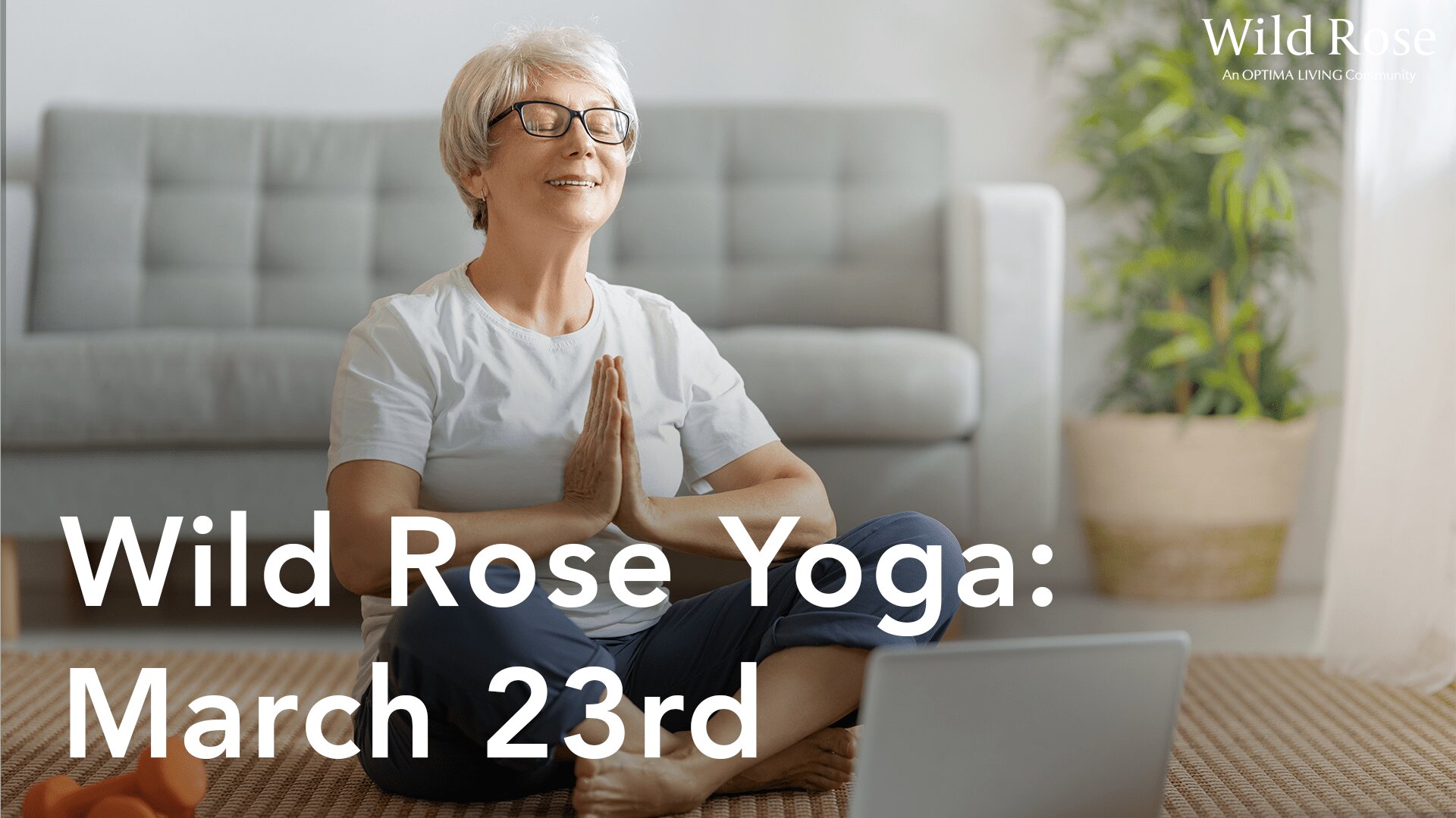 Wild Rose stretching exercises for seniors	: March 23rd