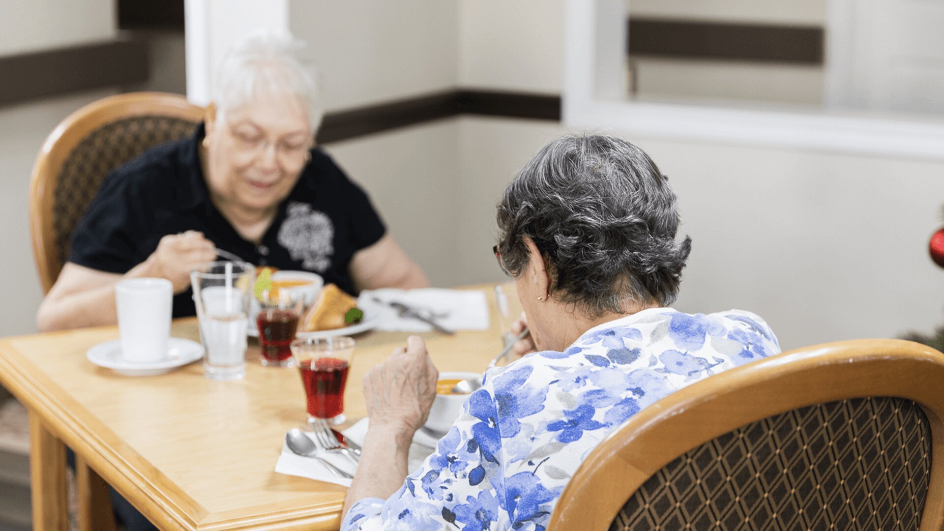 healthy meals for elderly at Wild Rose