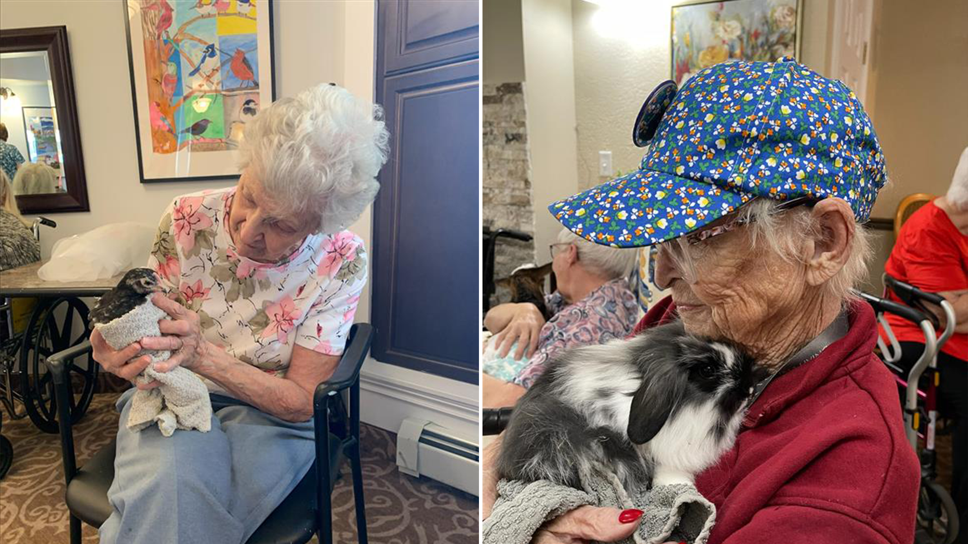 Senior women holding various animals