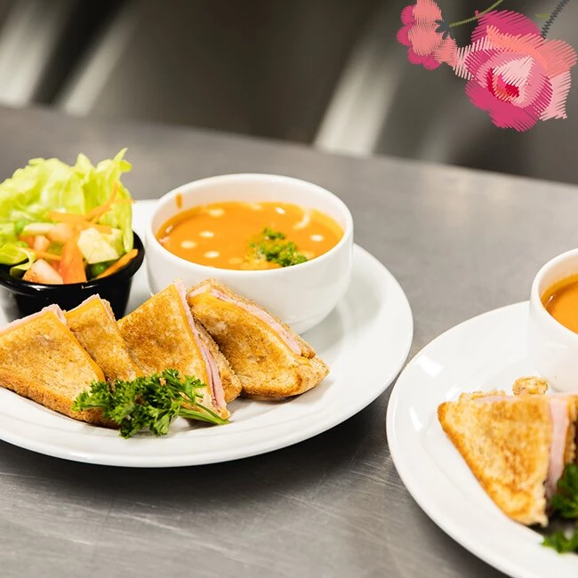 Delicious sandwiches with salad and soup, soft meals for seniors