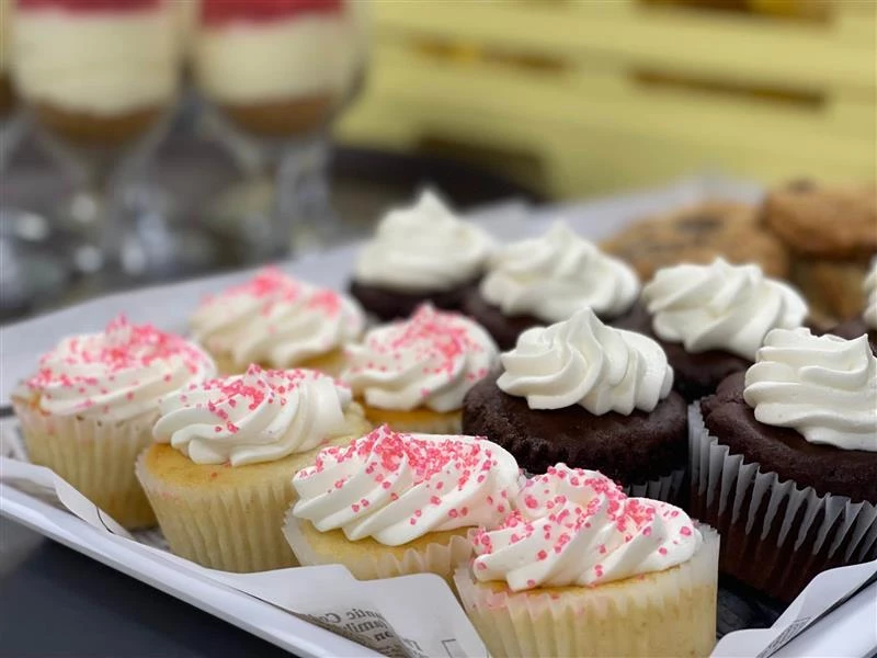 Vanilla and chocolate cupcakes with icing on them. Soft snacks for elderly.